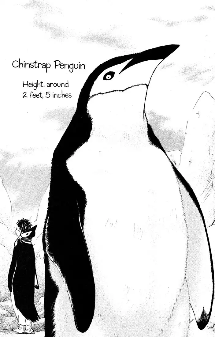 Penguin Revolution Chapter 32 28